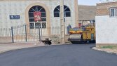 سیل حریف توسعه در روستای ارنلر ماکو نشد