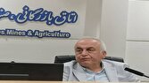کرمان می‌تواند ۵۰ درصد نیاز بازار افغانستان را تأمین کند