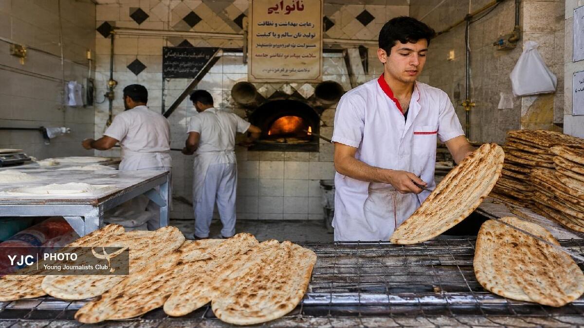 باشگاه خبرنگاران -کیفیت نان در خرم‌آباد؛ حلقه مفقوده از مزرعه تا سفره مردم