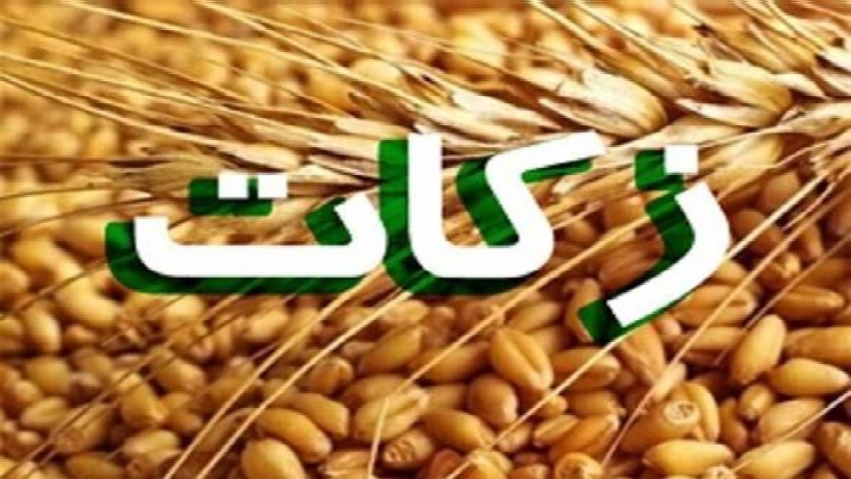 باشگاه خبرنگاران -افزایش ۲/۵ برابری پرداخت زکات در نقده
