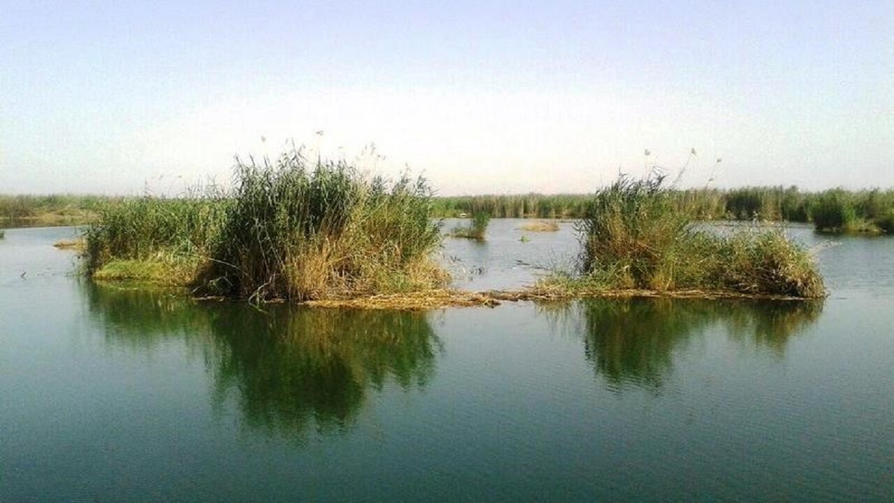 لاهیجان‌زاده: شرایط تالاب شادگان در سال آبی جاری نسبتاً مطلوب شد