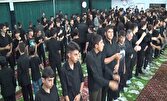 شور حسینی در آیین‌های عاشورایی آذربایجان‌شرقی+عکس