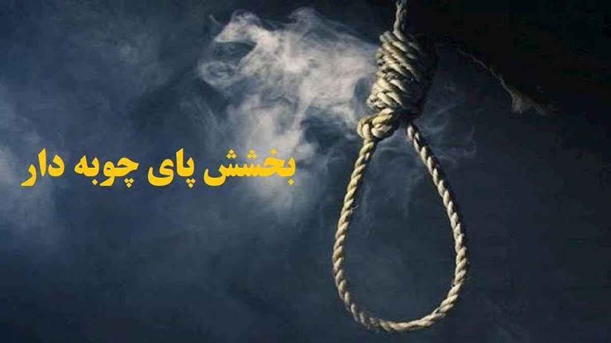 باشگاه خبرنگاران -مادر، قاتل پسرش را بخشید