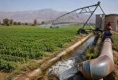تجهیز ۳.۲ میلیون هکتار از اراضی آبی کشور به انواع سامانه‌های نوین آبیاری