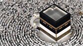 حج،تمتع،سفر،زيارت،نفر،سازمان،جسمي
