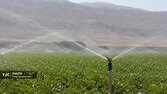 وقتی نوآوری به مزرعه می‌رسد؛ گام بلند لرستان برای افزایش بهره‌وری