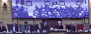 كشور،افزايش،پتروشيمي،زارع،خصوصي،مواد،توليد،امّا،هلدينگ