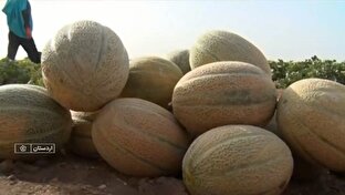 صيفي،اردستان