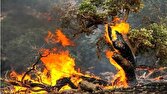 ۳/۵ هکتار از مراتع خوزستان طعمه حریق شد