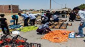 سدمعبر میوه فروشان رانندگان تاکسی شهر مراغه را به دردسر انداخت