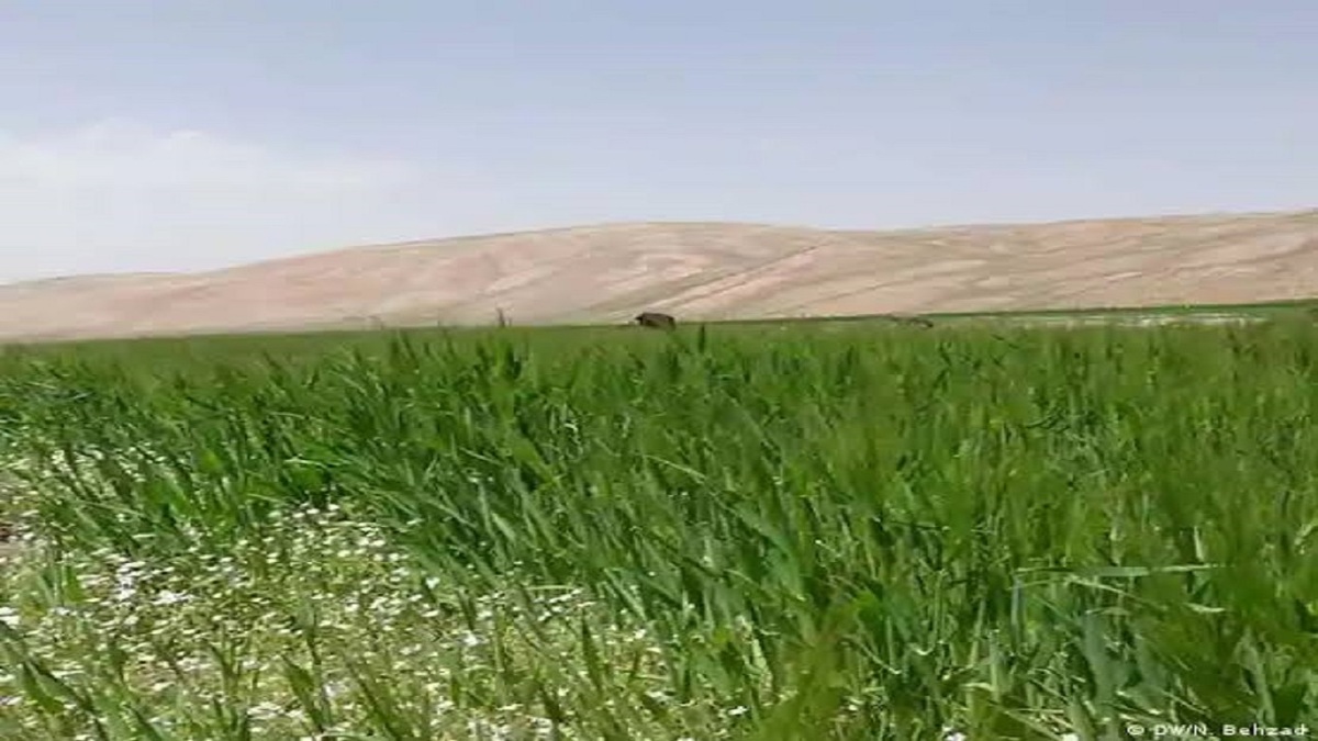 باشگاه خبرنگاران -کشف زمین خواری ۷۲ میلیارد ریالی در آق قلا