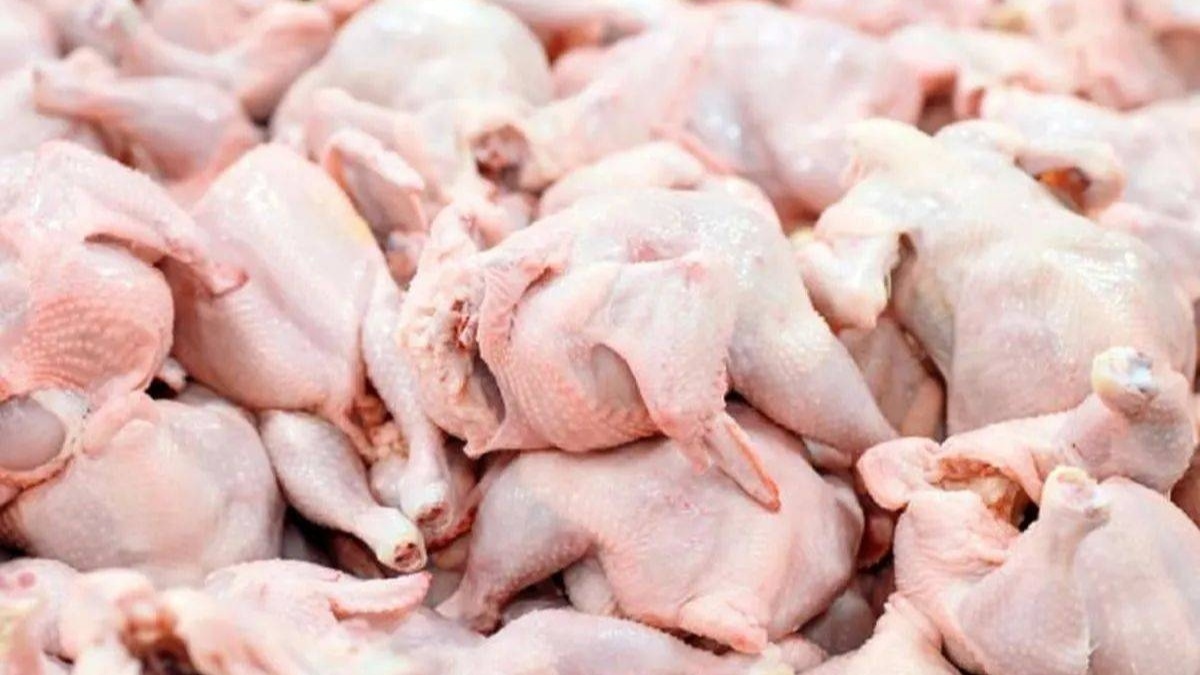 باشگاه خبرنگاران -تولید ۱۲ هزار و ۱۰۰ تُن گوشت سفید در هرمزگان