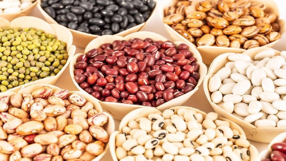 باشگاه خبرنگاران -طرح بسته‌بندی حبوبات و غلات در روستای بادباد الیگودرز وارد مرحله امکان‌سنجی شد