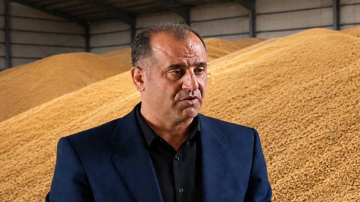 باشگاه خبرنگاران -وضعیت مناسب ذخایر گندم مازندران