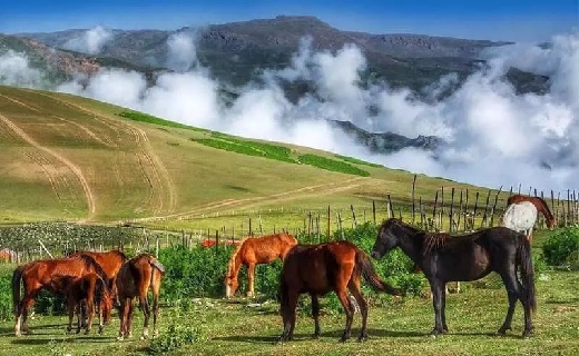 جاذبه های دیدنی تالش / از ساحل گیسوم تا کاخ سردار امجد