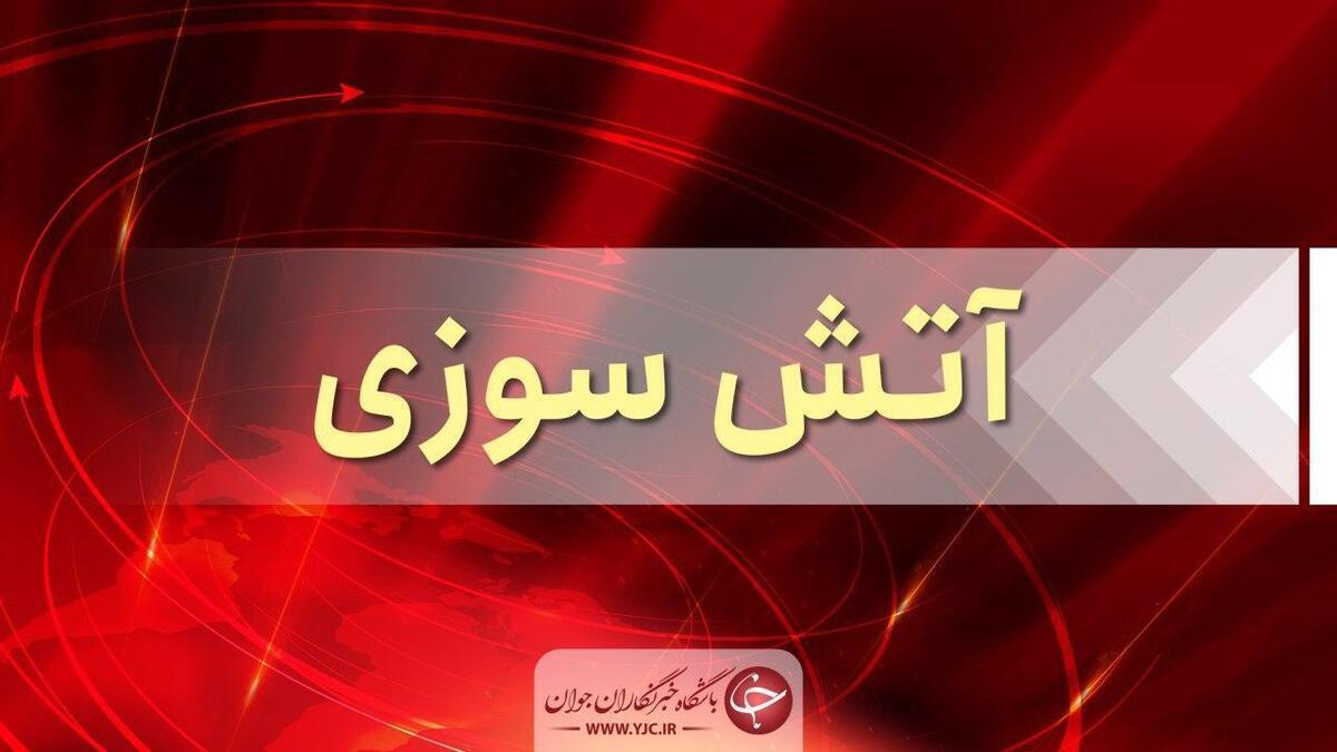 میانکاله دوباره در آتش + فیلم