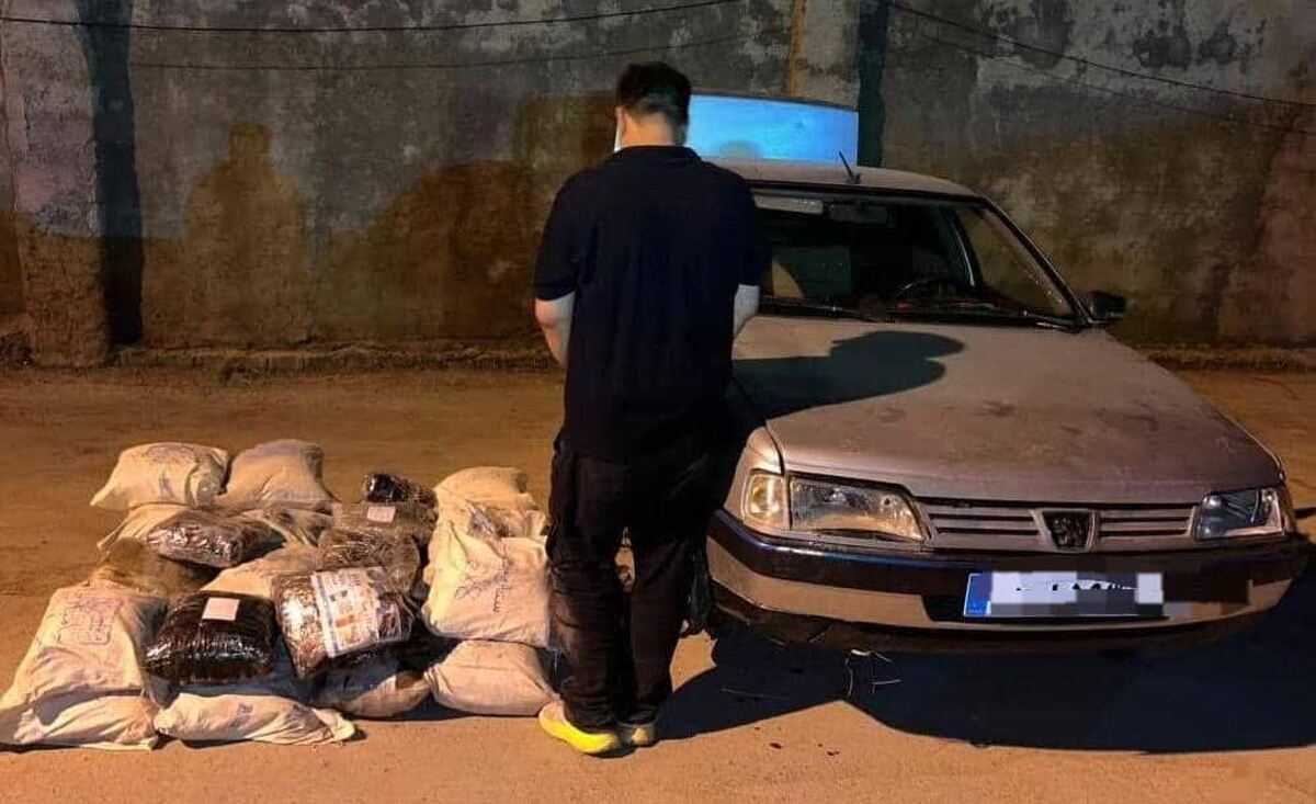 باشگاه خبرنگاران -کشف محموله سنگین مواد افیونی در داراب/ ۳۶۸ کیلو تریاک به مقصد نرسید
