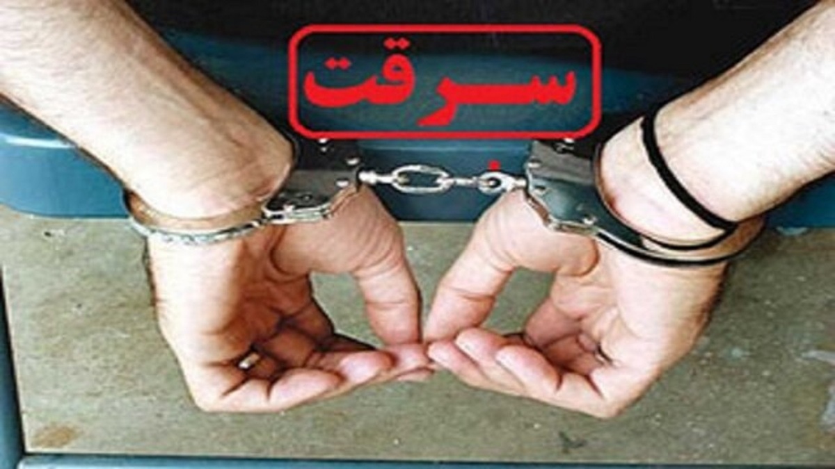 باشگاه خبرنگاران -کشف ۱۲ فقره سرقت در قاینات
