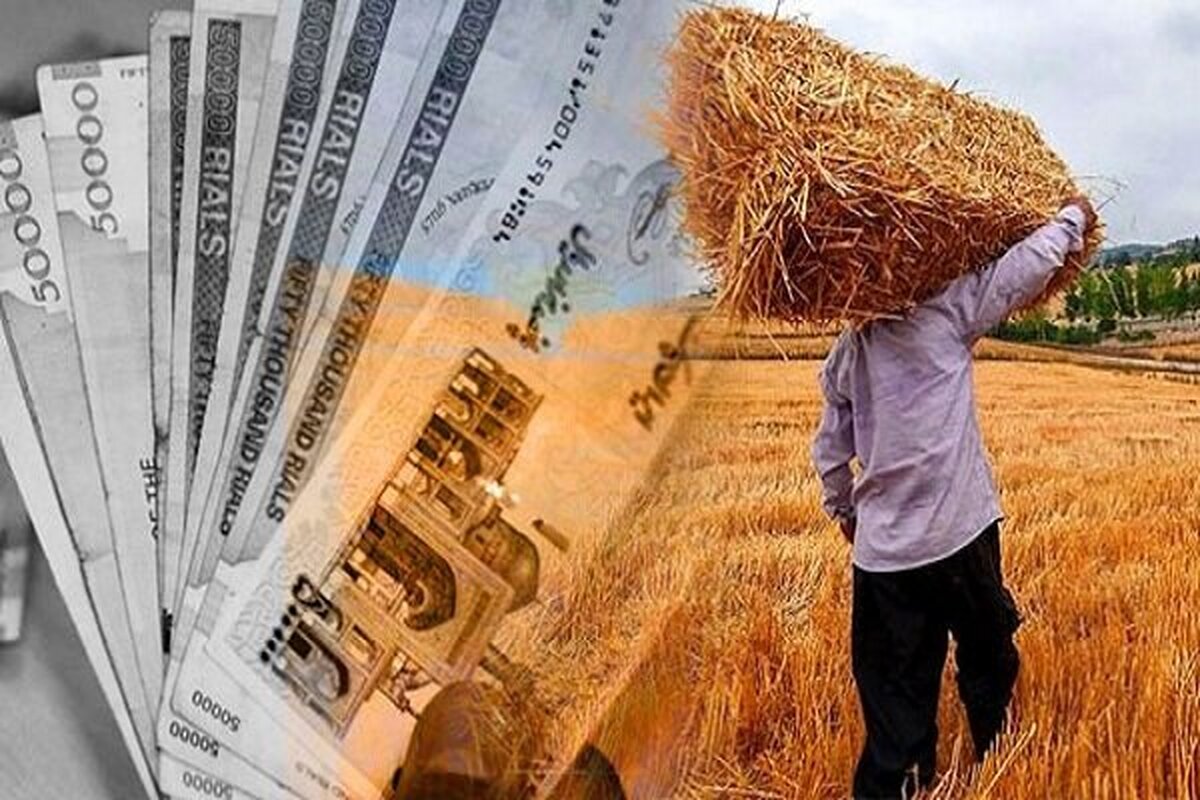 باشگاه خبرنگاران -پرداخت ۱۴۲ هزار میلیارد ریال از مطالبات گندم‌کاران فارس/ ۶۰ درصد مطالبات باقی مانده است