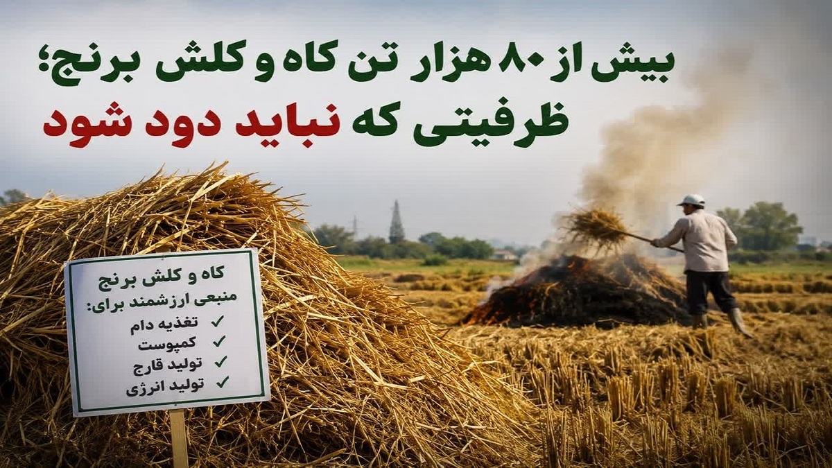 باشگاه خبرنگاران -ظرفیتی که نباید دود شود