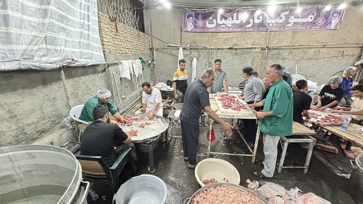 باشگاه خبرنگاران -تجلی عشق ثاراللهیان در سرزمین امام مهربانی ها+ تصاویر