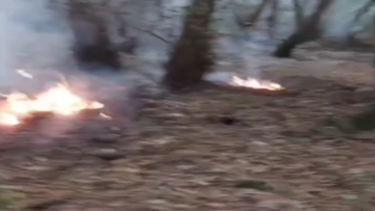 باشگاه خبرنگاران -اطفای سریع حریق در جنگل ایزدشهر شهرستان نور