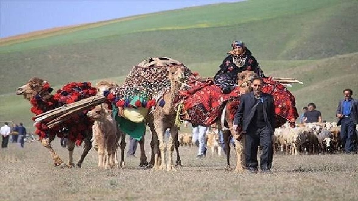 باشگاه خبرنگاران -چتر بیمه بر سر روستائیان و عشایر لرستان؛ ۱۳ هزار و ۵۰۰ مادر رایگان بیمه شدند