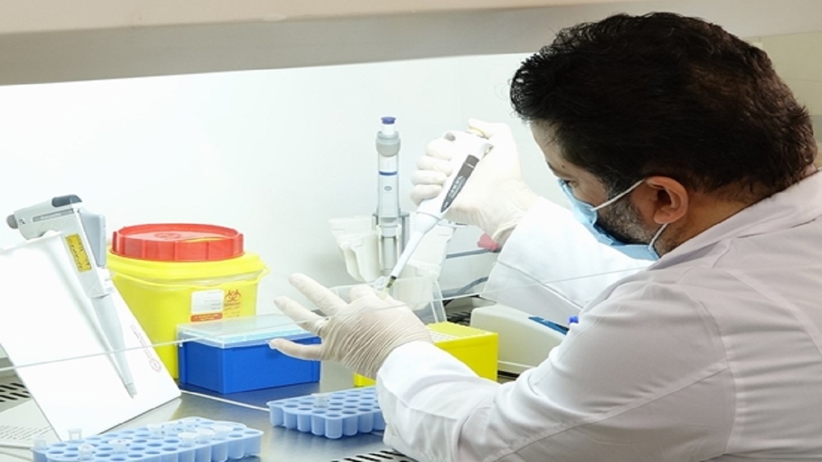 باشگاه خبرنگاران -افشای گوشت‌های تقلبی با فناوری DNA در قم