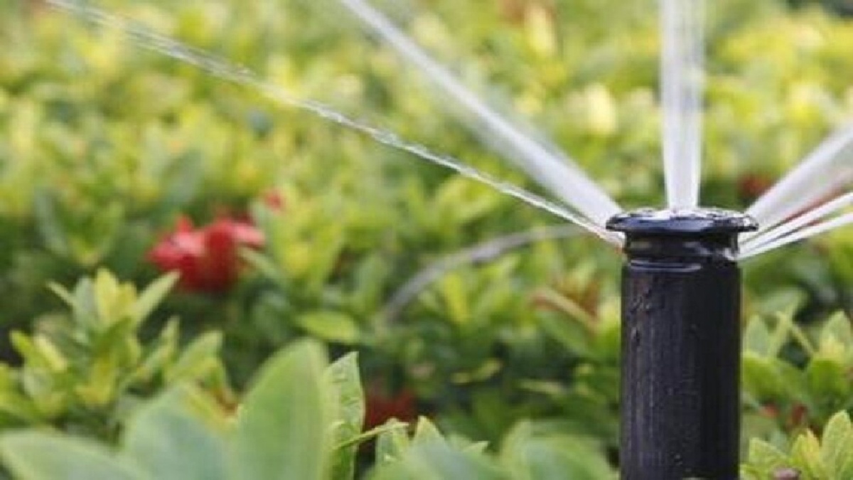 باشگاه خبرنگاران -آب شرب قربانی آبیاری فضای سبز؛ مطالبه‌ای جدی برای پایان هدررفت منابع آبی لرستان