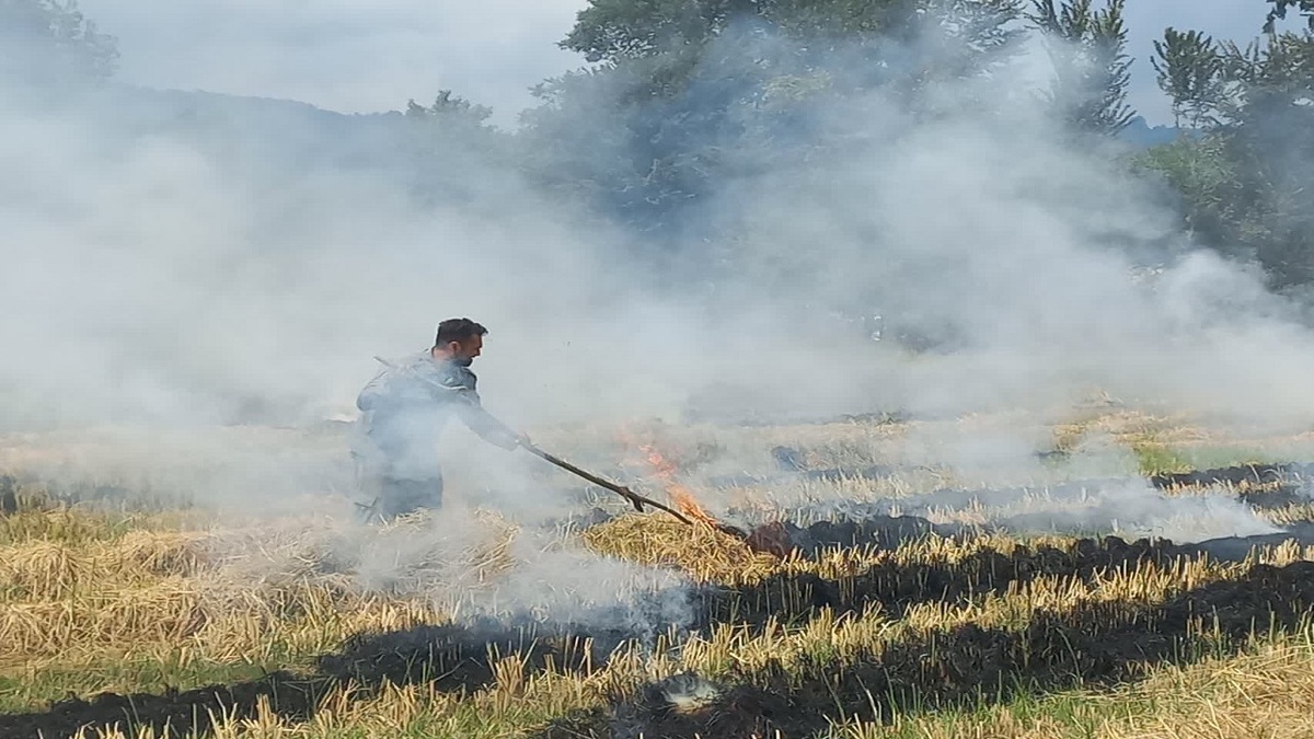 باشگاه خبرنگاران -مهار به موقع آتش‌سوزی کاه و کلش در فومن
