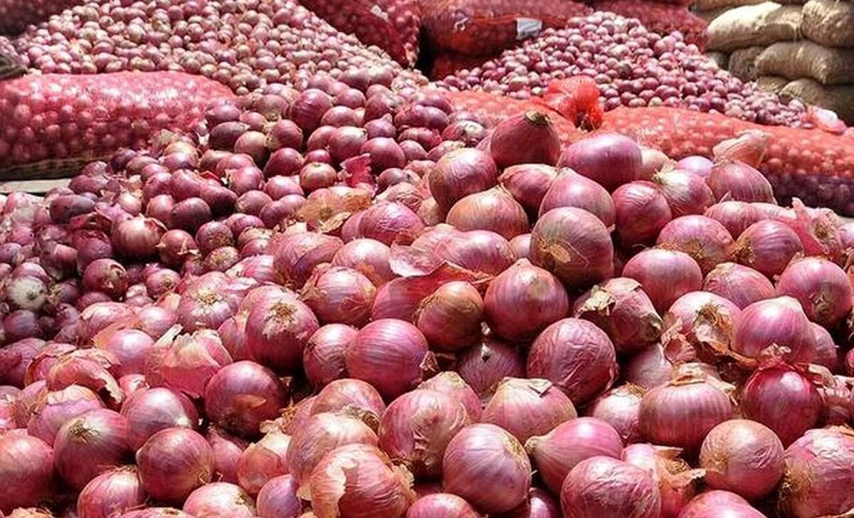باشگاه خبرنگاران -صادرات ۸۳۰۰ تن پیاز فارس به ترکیه در ۲ ماه