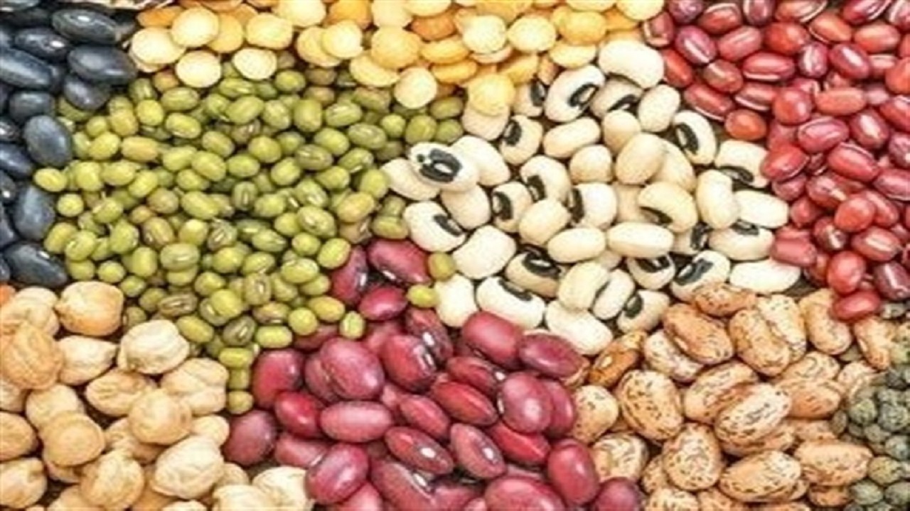 محاصره دریایی در واردات حبوبات تاثیری ندارد/حبوبات به میزان مکفی در بنادر و انبار&zwnj;ها موجود است + فیلم