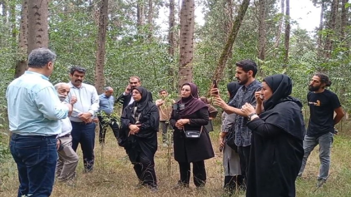 باشگاه خبرنگاران -برگزاری تور رسانه‌ای بازدید از عرصه‌های جنگل‌کاری مشارکتی در شهرستان کردکوی