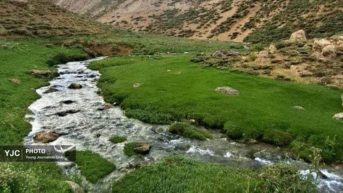 باشگاه خبرنگاران -ثبت لحظه‌های سبز خاک‌دالان از دوربین هنرمند چهارمحال و بختیاری+ فیلم و تصاویر