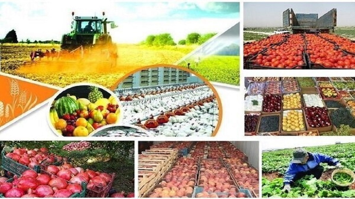 باشگاه خبرنگاران -توسعه صنایع تبدیلی؛ راهبرد کردستان برای کاهش ضایعات و رونق صادرات محصولات کشاورزی