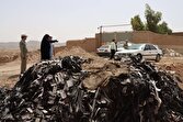 دود سمی در جمکران؛ کورههایی که نفس مردم را گرفتهاند