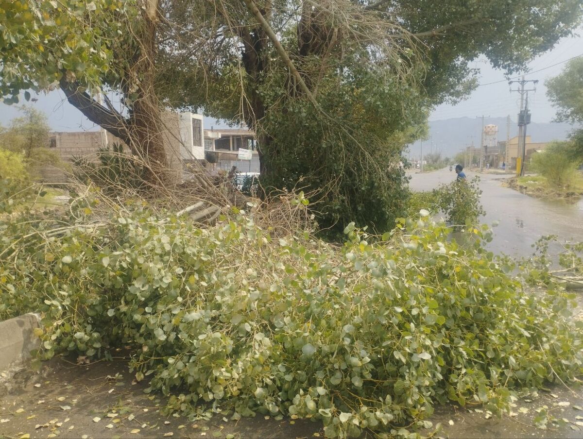باشگاه خبرنگاران -تشکیل ستاد مدیریت بحران در خاش؛ آماده‌باش کامل نیروهای خدماتی همزمان با بارش شدید و رعد و برق