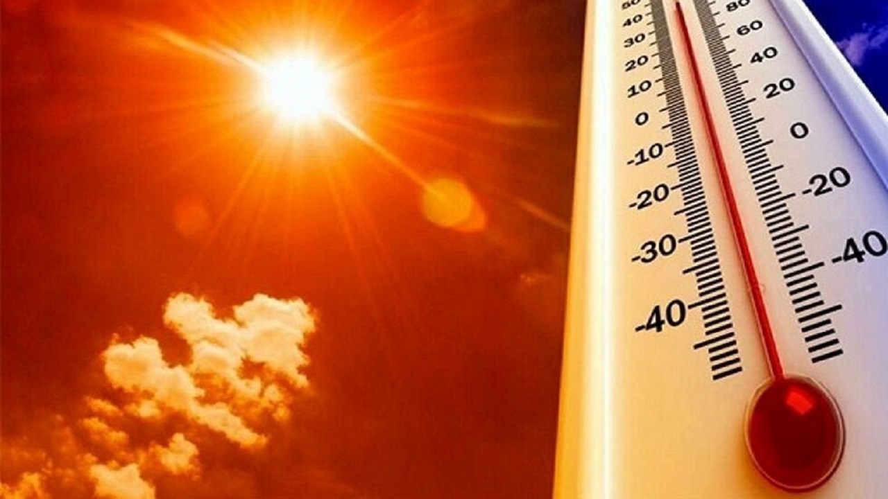 صدور فراخوان اضطراری به مرغداران مازندرانی؛ قطعی برق و گرمای ۴۰ درجه، تهدید جدی برای گله‌های طیور
