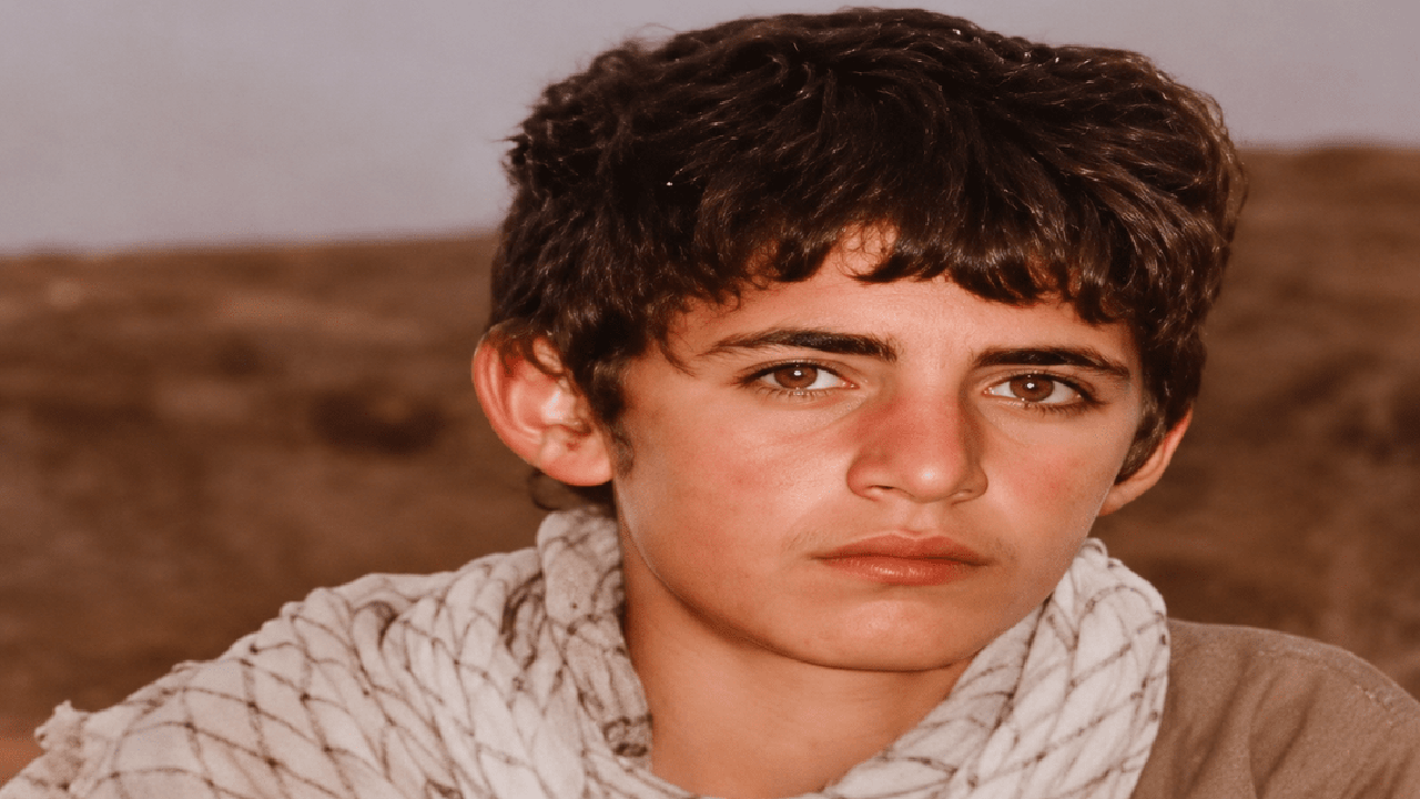 شیر ۱۳ساله&zwnj;ای که پیکرش ۹ سال بعد برگشت