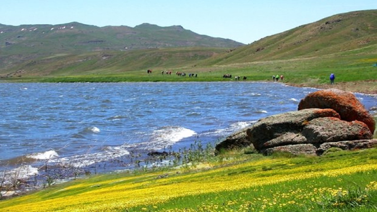 جمعیت اردک ماهی در تالاب نئور کاهش می‌یابد
