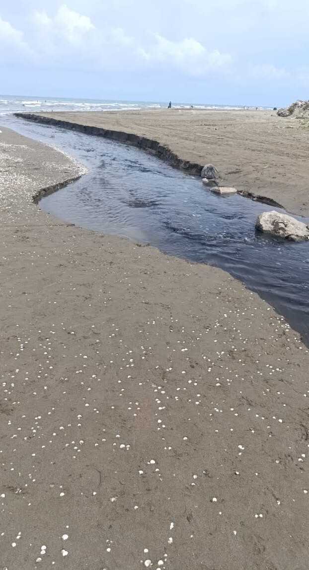 آلودگی دریای محمودآباد با سرریز شدن فاضلاب آلودگی دریای محمودآباد با سرریز شدن فاضلاب
