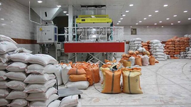 آغاز طرح نظارت بر شالیکوبی های گیلان