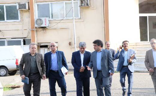 آغاز طرح نظارت بر شالیکوبی های گیلان
