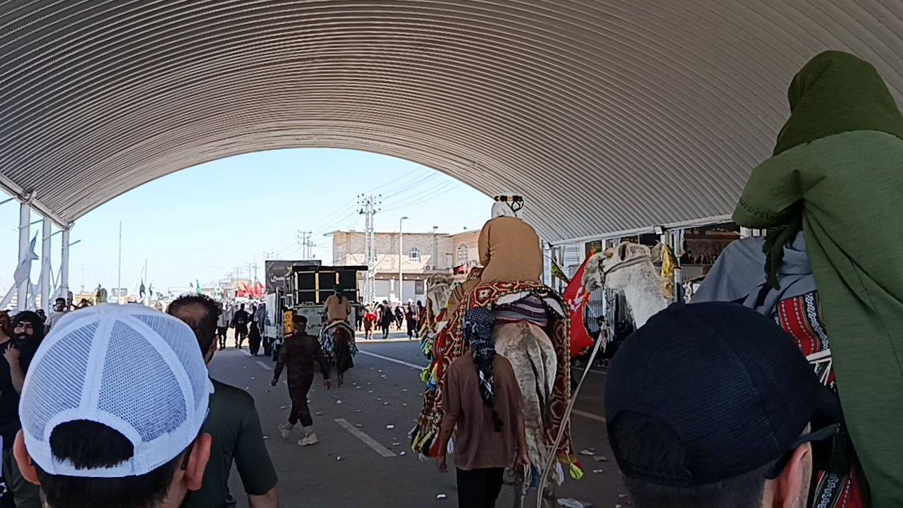 گزارش تصویری از نمادین کاروان اسرای امام حسین (ع) در مسیر کربلا