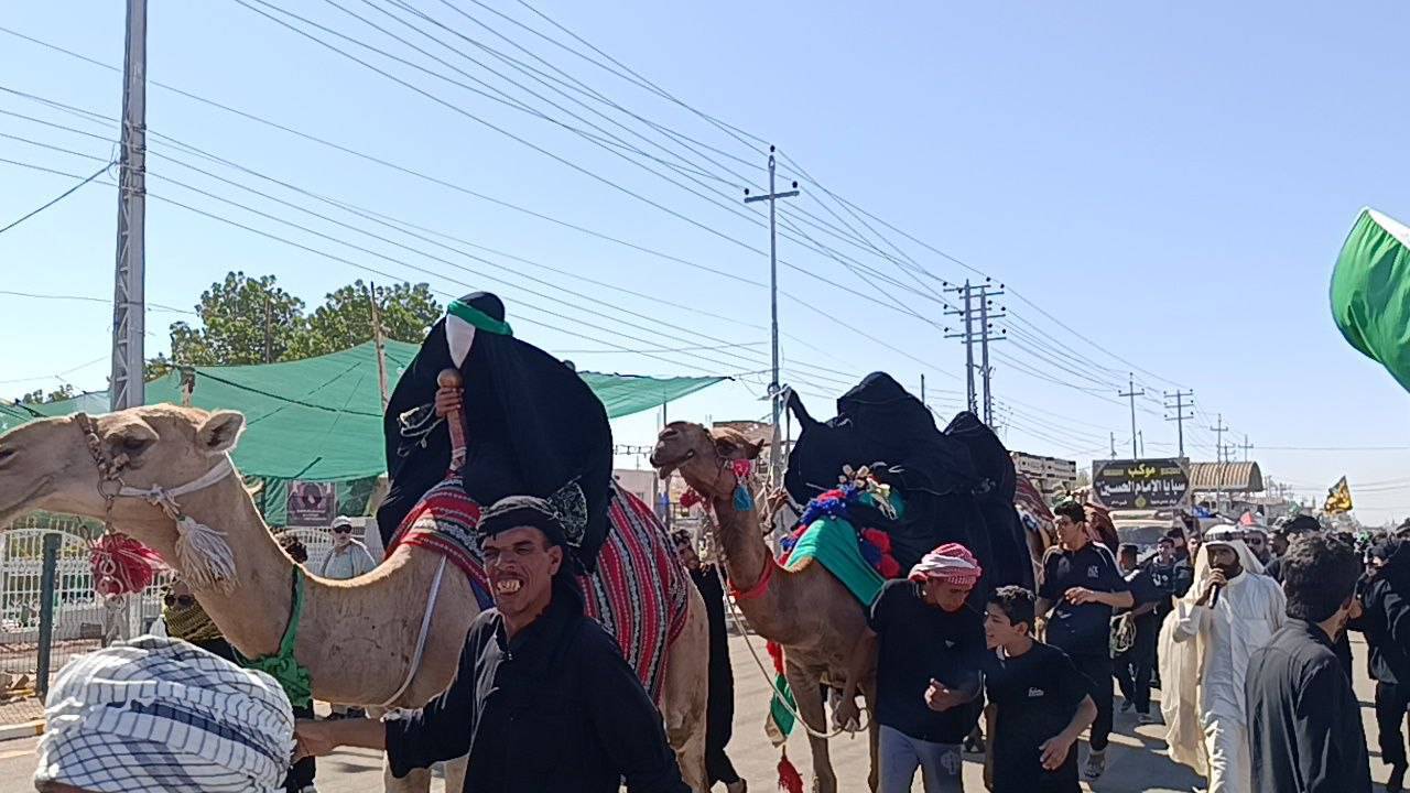 گزارش تصویری از نمادین کاروان اسرای امام حسین (ع) در مسیر کربلا