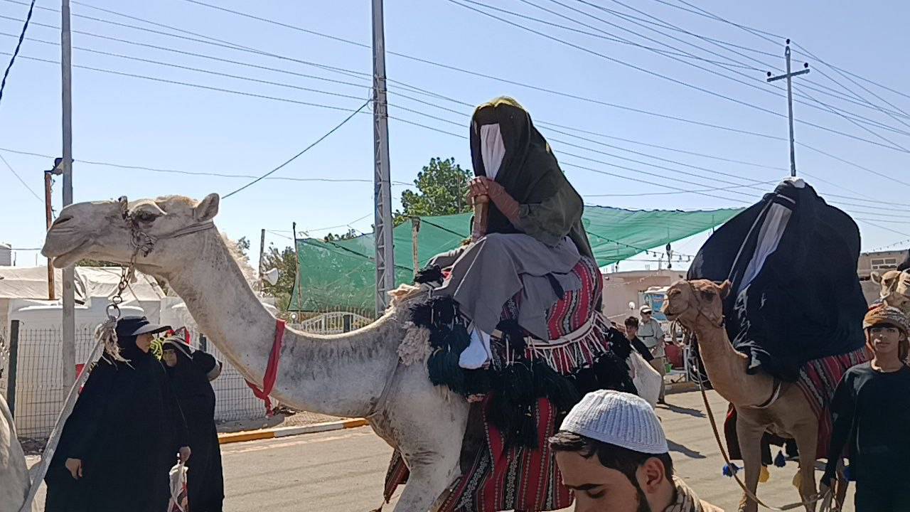 حرکت نمادین کاروان اسرای امام حسین (ع) در مسیر کربلا