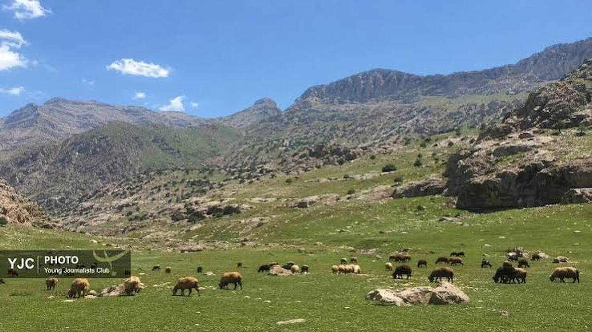 باشگاه خبرنگاران -بهره گیری از دانش بومی برای دست یابی به حفاظت مشارکتی