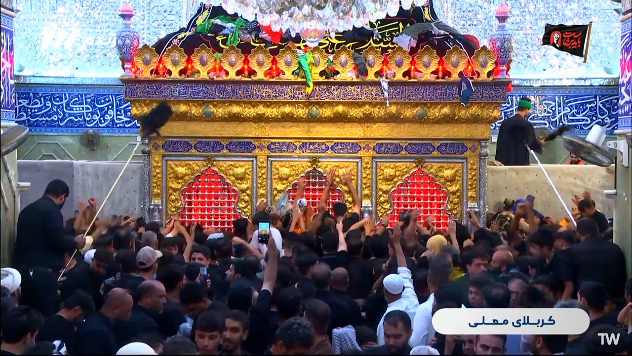 حال و هوای حرم مطهر امام حسین (ع) در آستانه اربعین حسینی + فیلم