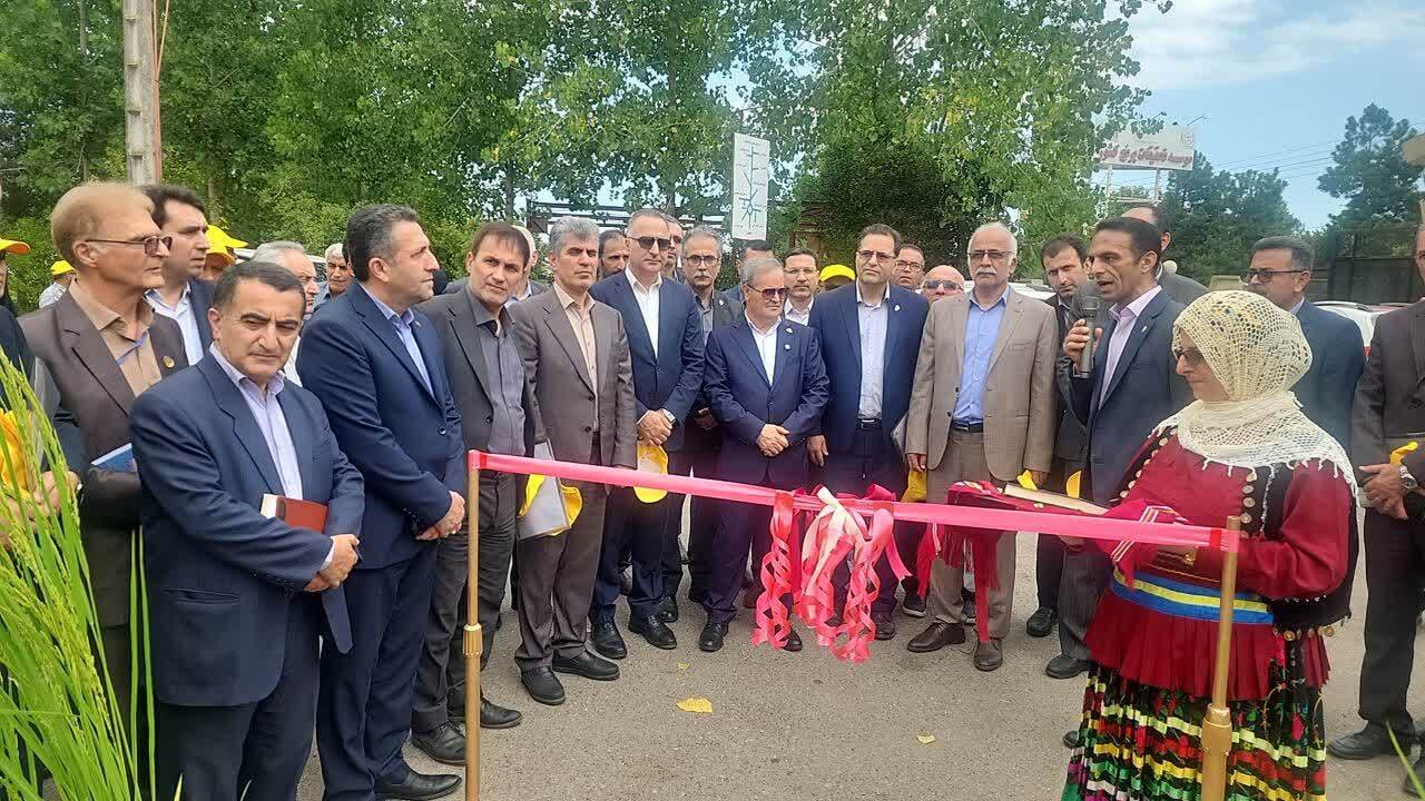 رونمایی از دو رقم جدید برنج «تی تی» و «کویر»  در گیلان