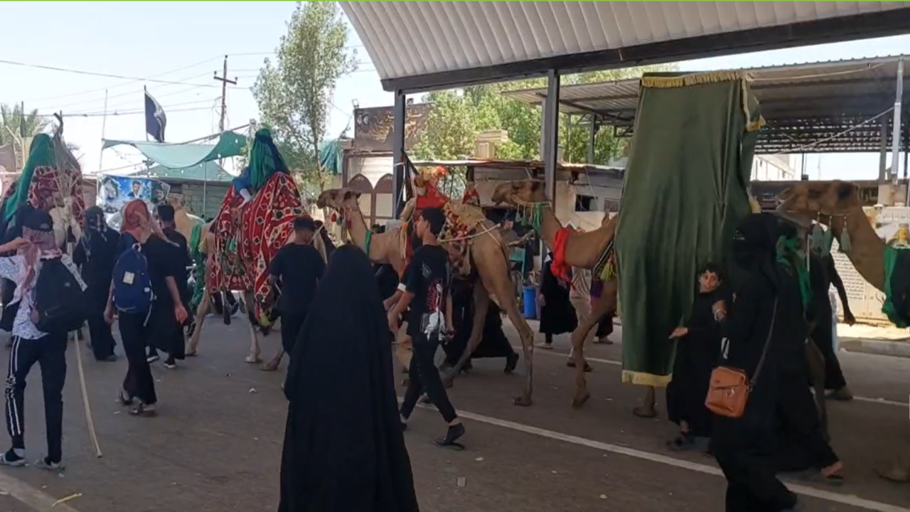 قدم‌هایی که در مسیر دلدادگی امام حسین (ع) راهی کربلا شد+ فیلم